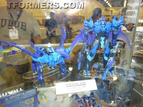 Transformers=botcon 2013 Generatations Prime Paltinum  (404 of 424)